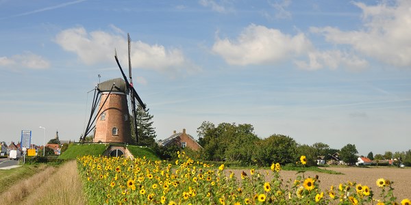 cadzand molen